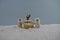 Christmas food photography using marshmallows shaped as snowman and standing in snow with cream sponge fairy cake