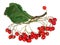 Christmas forest branch  made of dry red berries an leaves of Rowan tree isolated