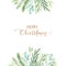 Christmas frame with eucalyptus, fir branch and holly - Watercolor illustration. Happy new year. Winter background with greenery