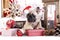 Christmas French Bulldog