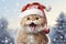 Christmas funny cat wearing a red Santa hat, surrounded by snowflakes, Christmas tree branch and berry branch