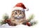 Christmas funny cat wearing a red Santa hat, surrounded by snowflakes, Christmas tree branch and berry branch