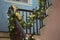 Christmas garland draped over bannister