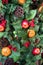 A Christmas garland featuring apples, oranges, pine etc.