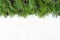 Christmas garland with undecorated pure green natural fir branch