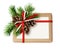 Christmas gift box with ribbon bow, fir-tree twig, cones and a c