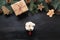 Christmas gift, coffee, marshmallow, wooden diy, evegreen fir tree. Top view.