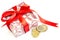 Christmas Gift Euro Coins