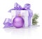 Christmas gift with Purple Ball, tree branch