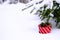 Christmas gift in the snow under a fir tree