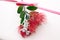 Christmas gift wrapped in plain paper with ribbon and Pohutukawa flower with shallow depth of field