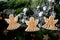 Christmas gingerbread angels cookies with icing ornate. Xmas decorations, dark background. Top view