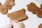 Christmas gingerbread cookies painted with icing sugar. Confectioner girl paints