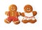 Christmas gingerbread couple cookies