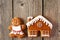 Christmas gingerbread girl and house cookies