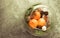 Christmas gray background with a decorative aquarium with tangerines, pine, beautiful balls and cinnamon