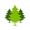 Christmas Green Forest Spruce Trees Simple Illustration Symbol Design