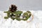 Christmas green sled carry pine cone, light star garland, vintage style, new year night composition