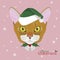 Christmas greeting card. Abyssinian cat with green Santa`s hat and a Christmas ornament