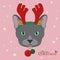 Christmas greeting card. Russian Blue cat with reindeer horns and Christmas bells