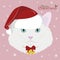 Christmas greeting card. Turkish Angora cat with red Santa`s hat and a Christmas ornament