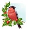 Christmas greeting card. Vector bullfinch