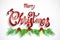 Christmas greetings card vector image