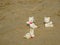 Christmas Greetings - Three little teddies celebrating christmas in the sand