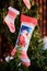 Christmas handmade blue and red fabric gift socks with fir branches in winter