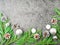 Christmas and Happy New Year gray stone background. Top view, copy space, military stile. Fir branches, silver concrete