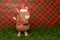 Christmas Highland cow sugar fondant model