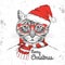 Christmas Hipster fashion animal cat dressed a New Year hat