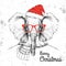Christmas Hipster fashion animal elephant dressed in New Year hat and scarf