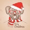 Christmas Hipster fashion animal koala dressed a New Year hat