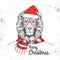 Christmas Hipster fashion animal lion dressed a New Year hat and scarf