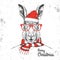 Christmas Hipster fashion animal rabbit dressed in New Year hat and scarf