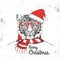 Christmas Hipster fashion animal tiger dressed a New Year hat