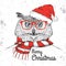 Christmas Hipster fashion bird owl dressed a New Year hat and scarf