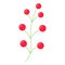 christmas holiday branch berries green plant icon