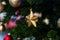 Christmas holiday decorative golden star