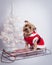 Christmas holiday dog Yorkshire Terrior on red sled