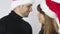 Christmas holiday happy couple wear red new year santa hat cap, man and woman love smile looking at camera kissing