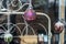 Christmas holiday storefront window display ball ornaments