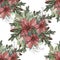 Christmas holidays garland flowers poincetia berries spruce