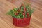 Christmas holly and cedar branches in red basket