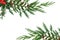 Christmas Holly and Cedar Cypress Background Border