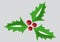 Christmas holly, green leaves, red berries on grey background