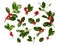 Christmas Holly With Red Berries On White.