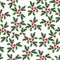 Christmas holly seamless illustrated pattern