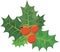 Christmas holly with spiky leaves and red berries